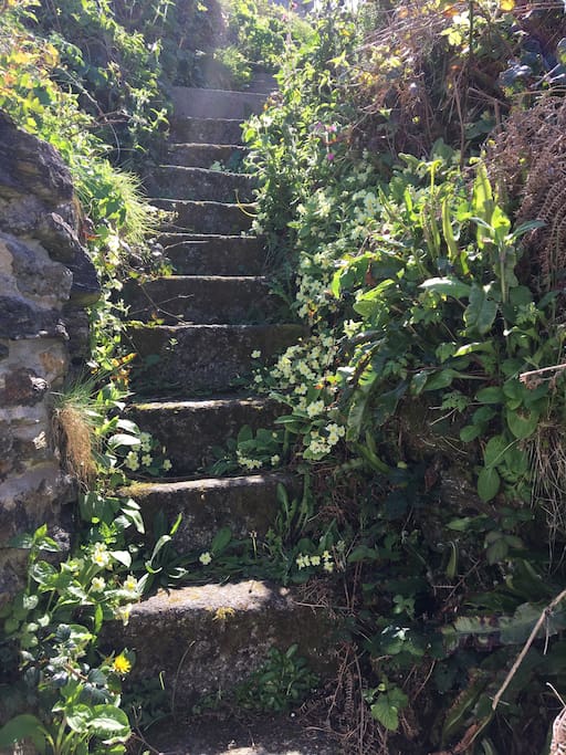 Steps leading to cliff side patio