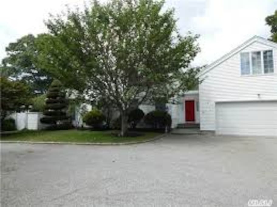 Driveway and garage (2 car garage and plenty of parking space in the driveway)