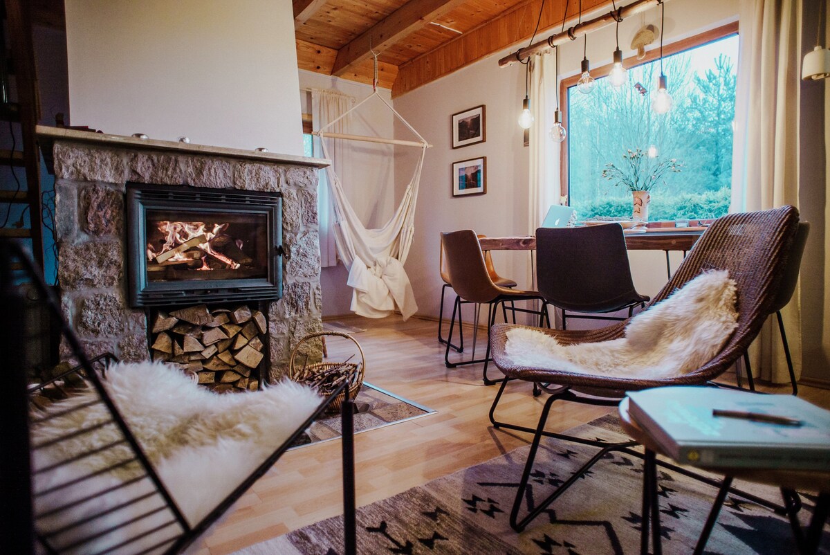 The living area features a stone fireplace with stacked firewood, offering a cozy focal point. A hammock is suspended nearby, while a wooden table is paired with chairs. Natural light enters through a large window, providing a view of the surrounding greenery.