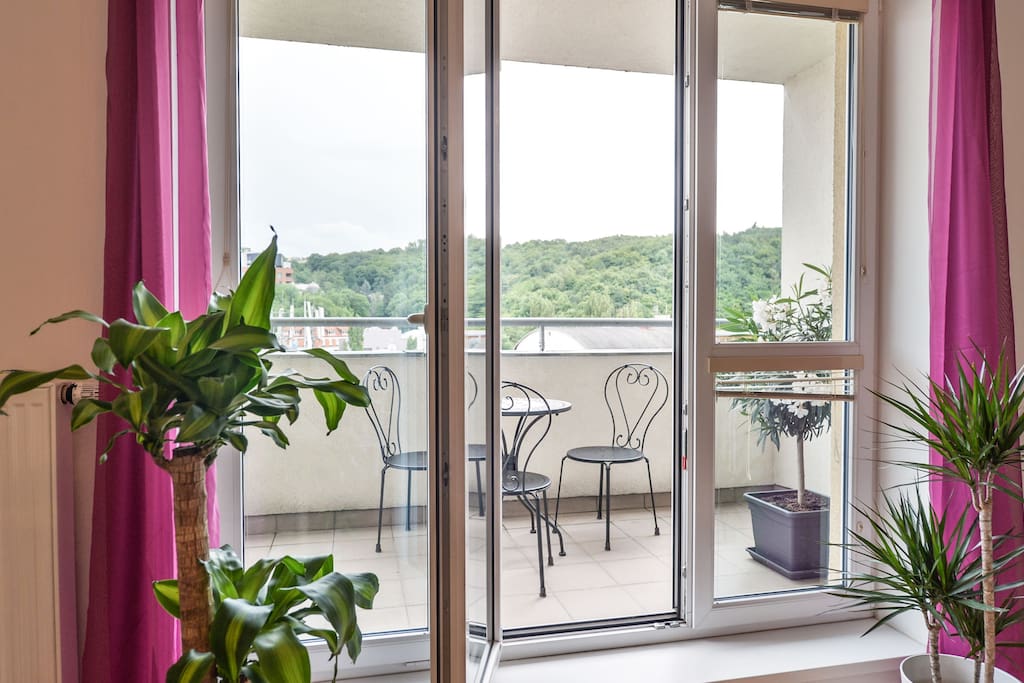 Terrace with view