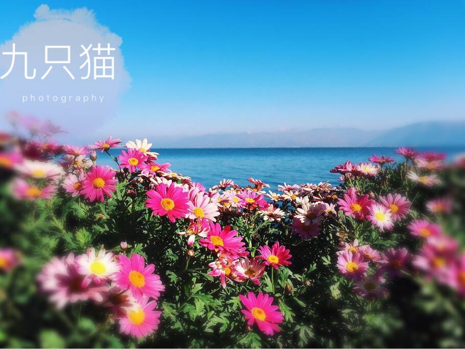 洱海边上