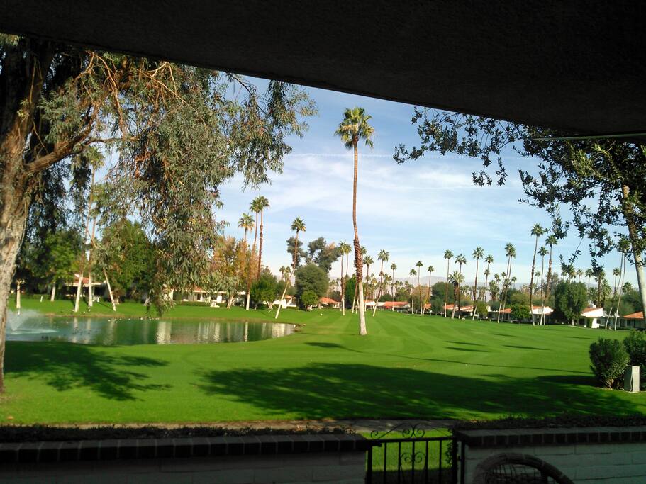 View from living room. The running fountain and migrating birds are a pleasant sight & sound.