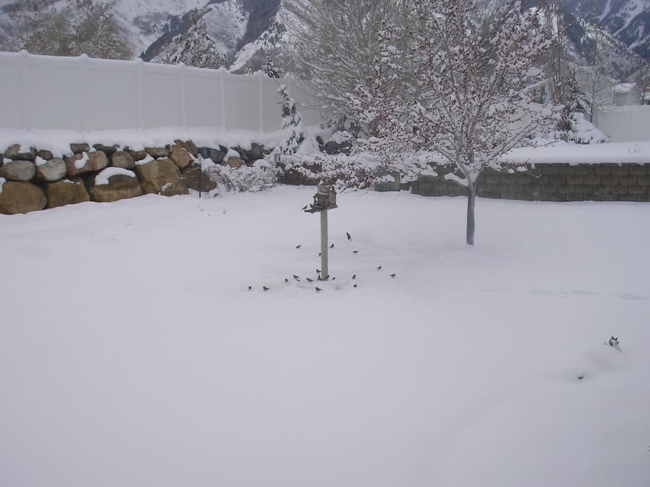 Winter Wonderland watch the birds out the cozy family room by a warm fire.