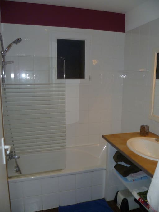 Salle de Bain avec douche