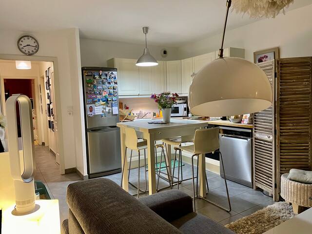 JoliT3 60 m2, quartier Monplaisir, lyon centre gallery image 3