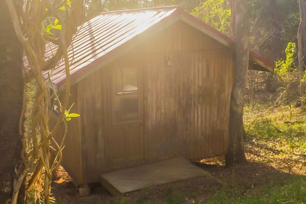 Summer House Exterior: Nestled in the woods with easy access to bathrooms and showers