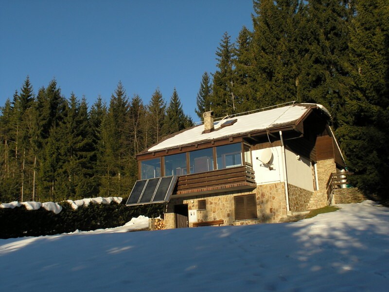 A two-story holiday house is situated in a snowy landscape, surrounded by towering pine trees. Solar panels are mounted on the roof, while large windows offer expansive views of the outdoor scenery. A stone and wood facade complements the natural environment.