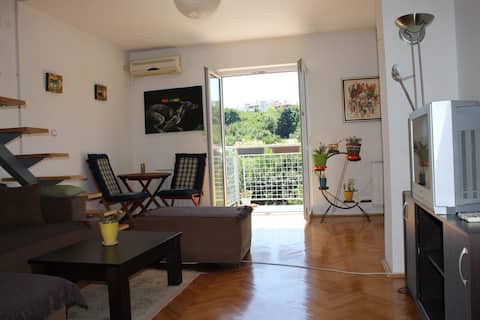 Relaxing View - Affordable & Lovely Green Bright