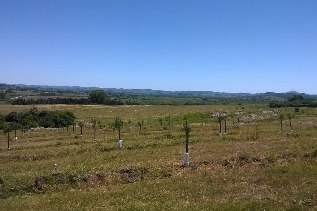 Beautiful views