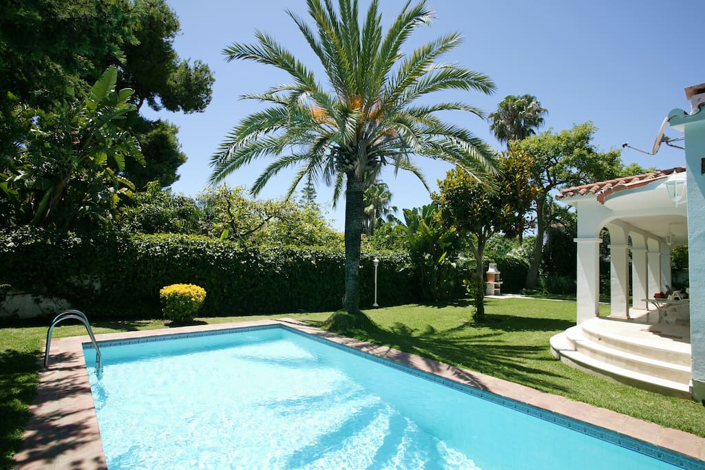 The Swimming Pool