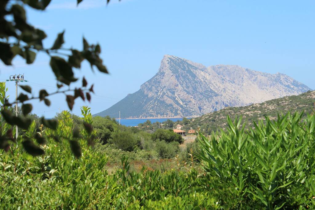Veduta dalla veranda