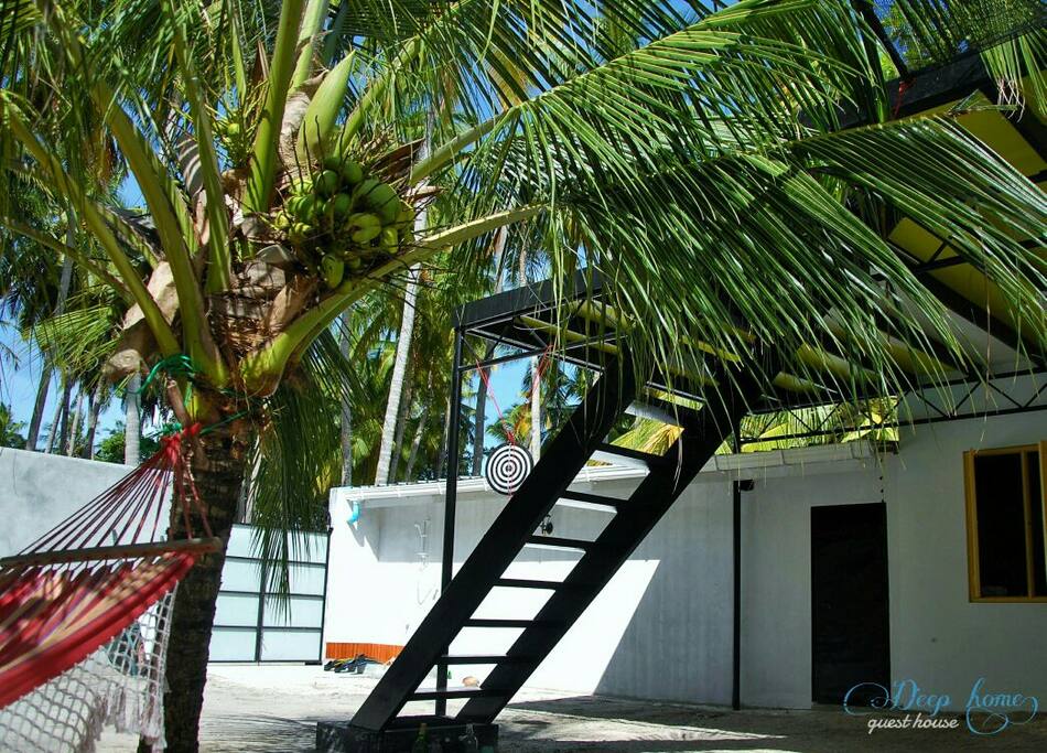 back yard