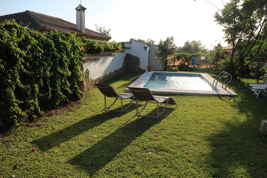 Swimming pool.