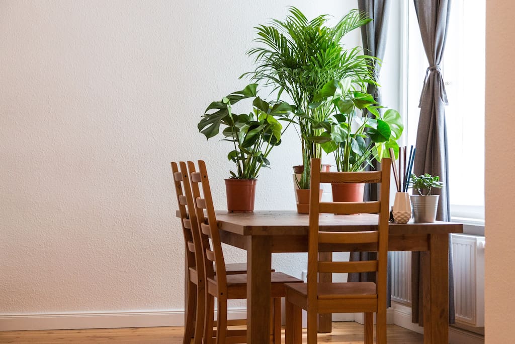 There's a large table for working and beautiful green plants to feel inspired.