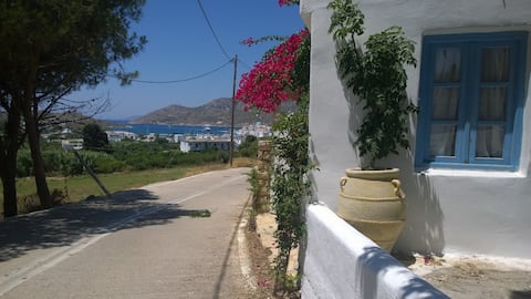 LIPSI HOUSE CHARMING 3 BED 3 BATH