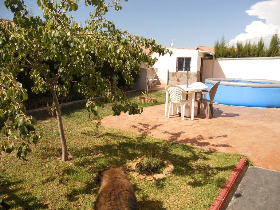 El jardín.