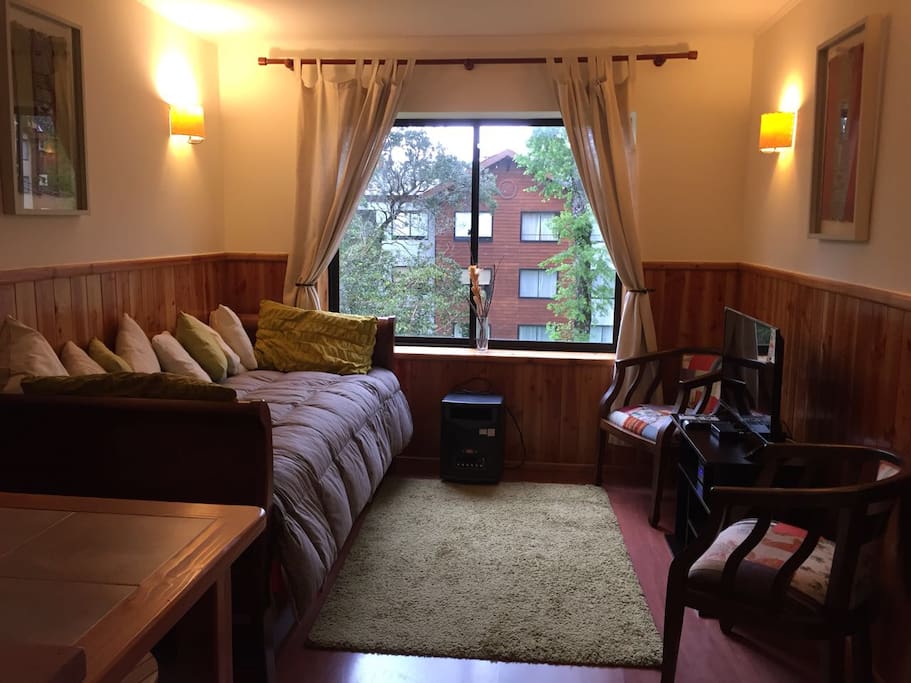 Sala de estar con vista al parque