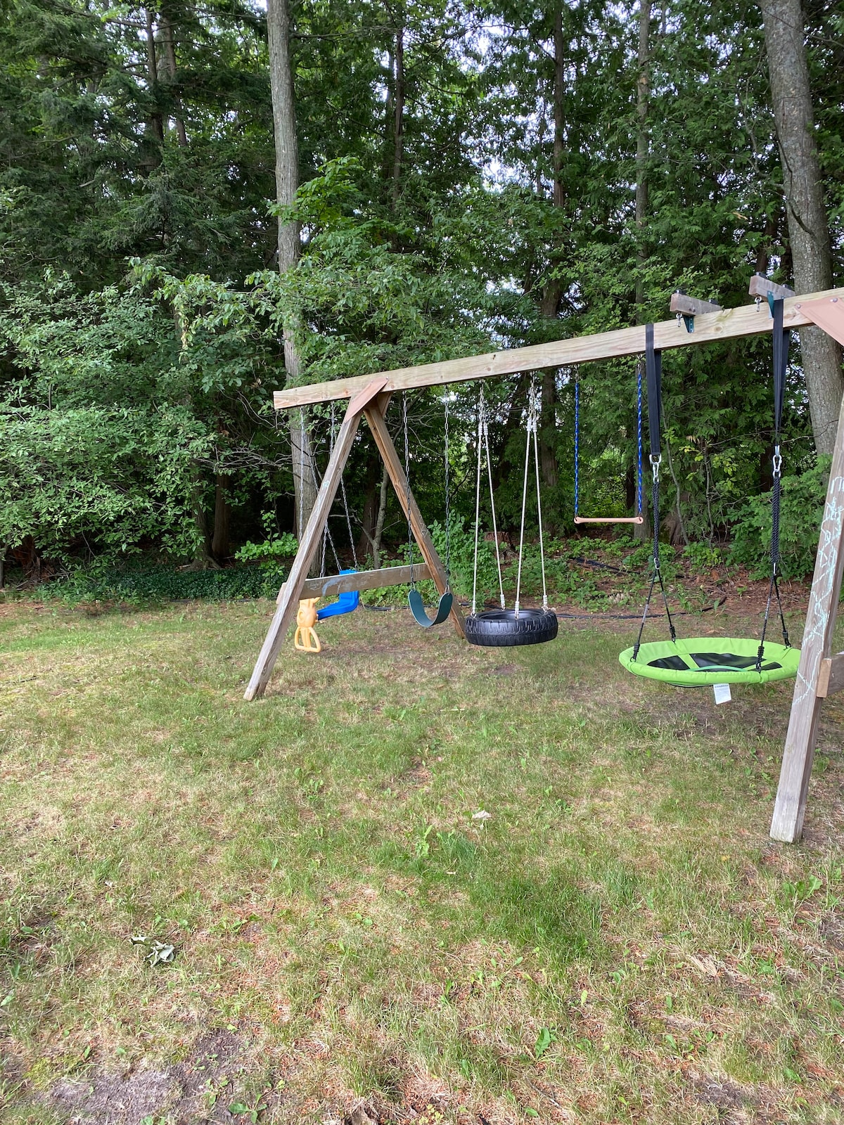 An outdoor play area is visible featuring a wooden swing set with multiple swings, including a tire swing and a green circular swing. Surrounding trees provide shade, and the grassy ground offers a natural play surface.