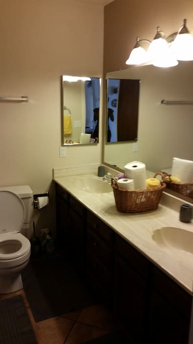 Shared Hallway bathroom with double sink