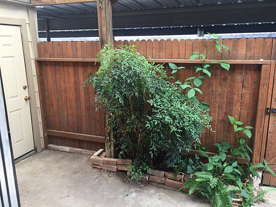 Safe, cozy back patio
