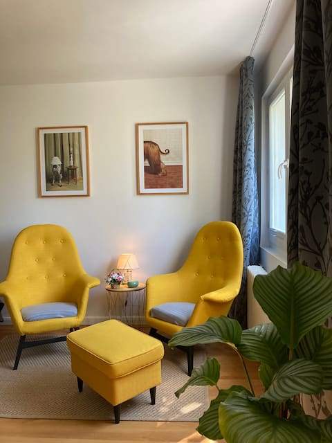 Popular Airbnb listing: Appartament Rysia in Przymorze Wielkie