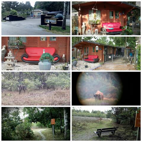 Download Airbnb Garderen Holiday Rentals Places To Stay Gelderland Desktop Wallpaper Get Wallpaper Airbnb Garderen Holiday Rentals Places To Stay Gelderland Desktop Wallpaper