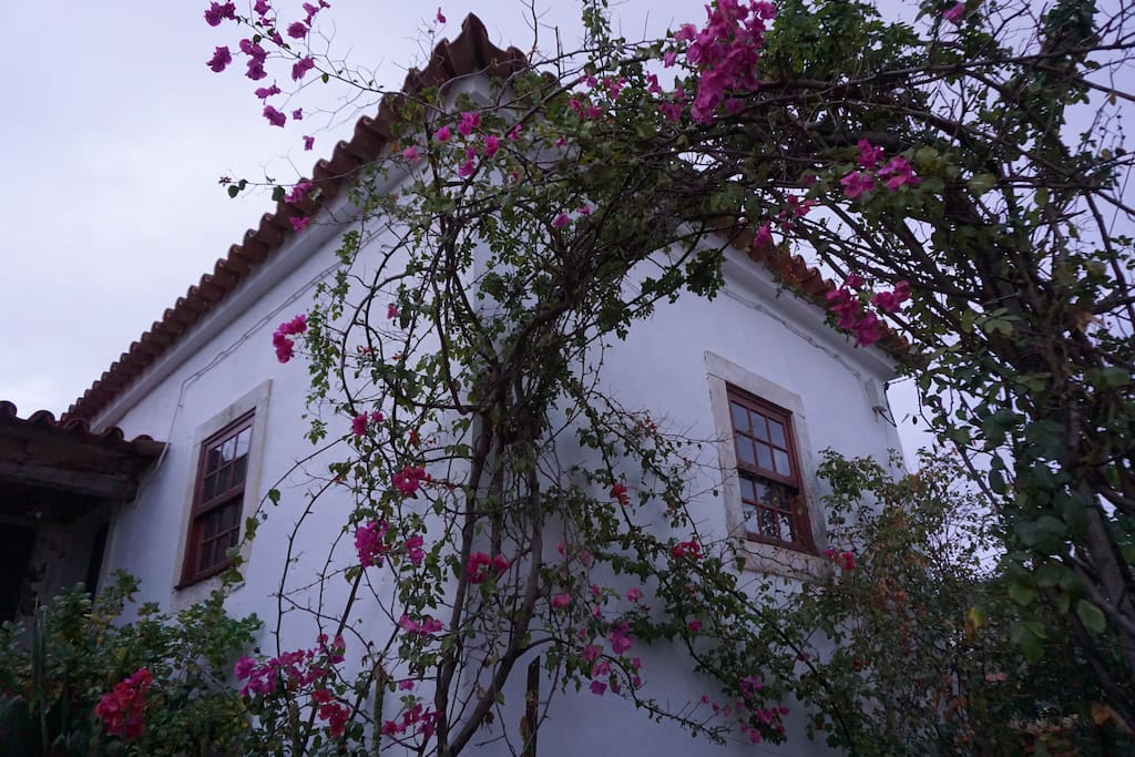 casa mãe