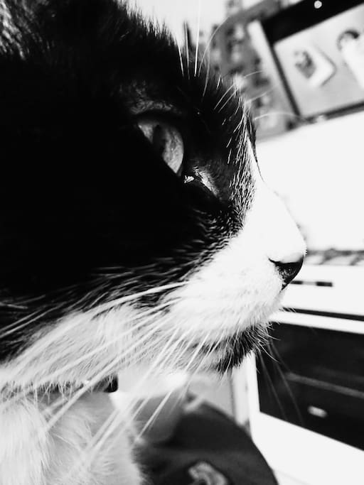 Nils
