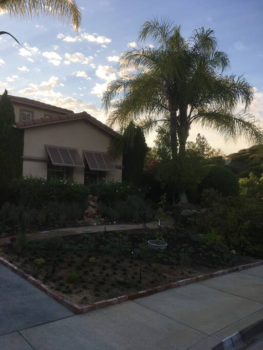 Front yard and. Casita ( one bedroom guest house)