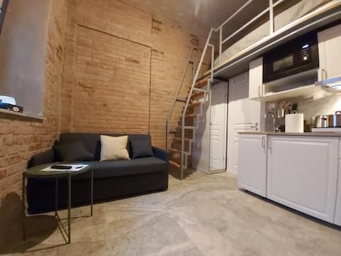 Lovely Vintage Loft Studio| Brick Walls| Downtown