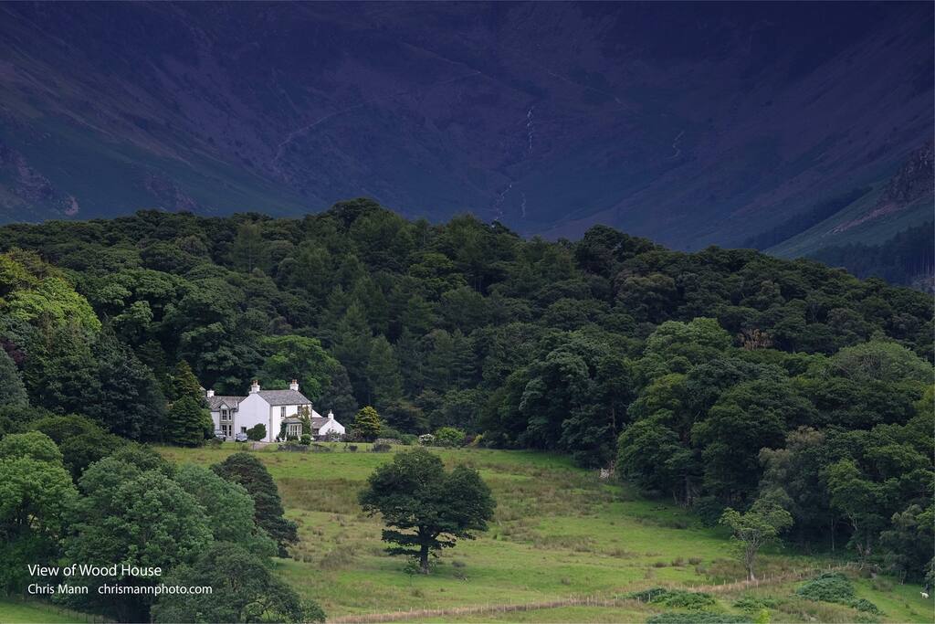 View of Wood House