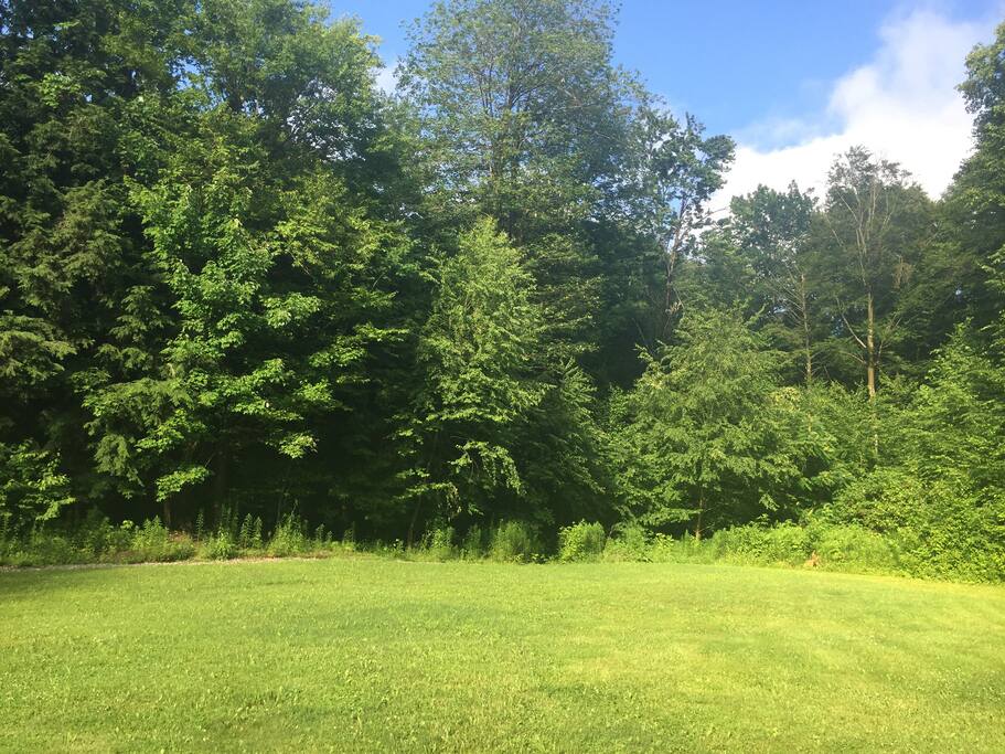 Back yard, view from kitchen and deck!