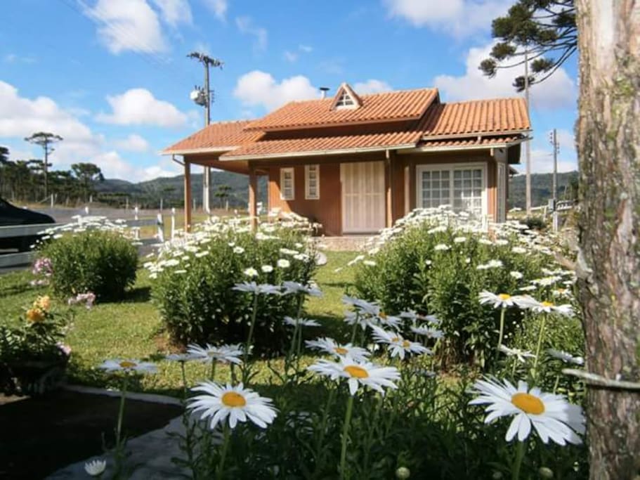 Cabana (1)