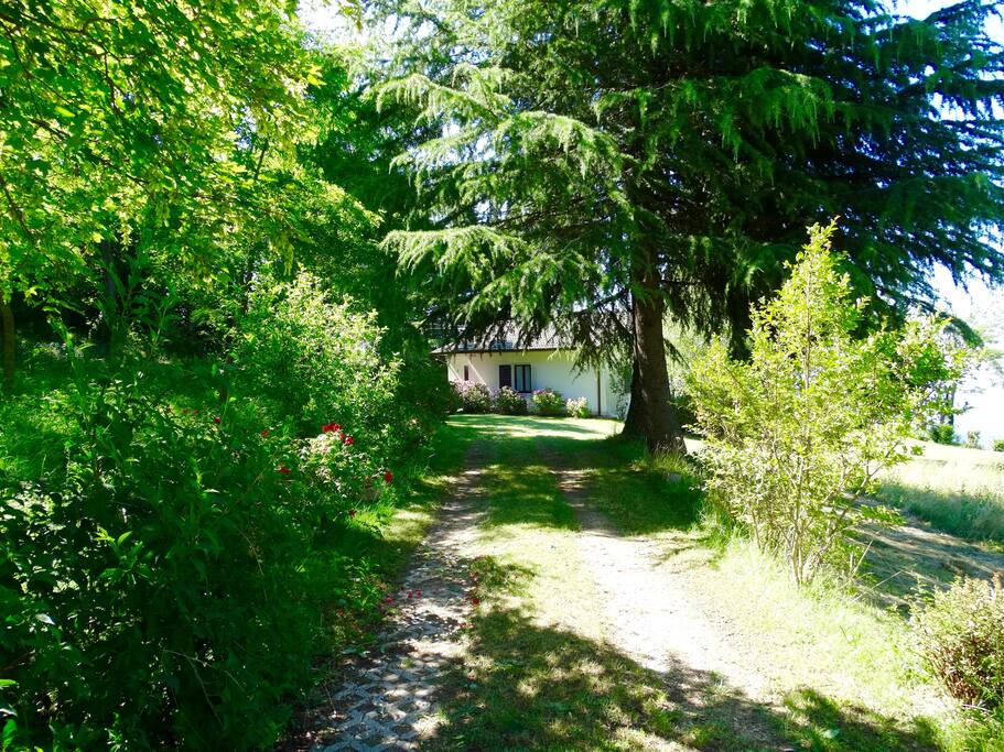 viale