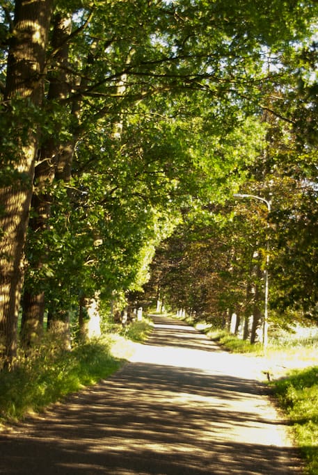 De weg naar de woning, wanneer we hier rijden met de auto komen we vanzelf tot rust en zijn we echt thuis