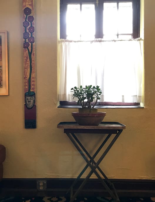Local art & jade plant