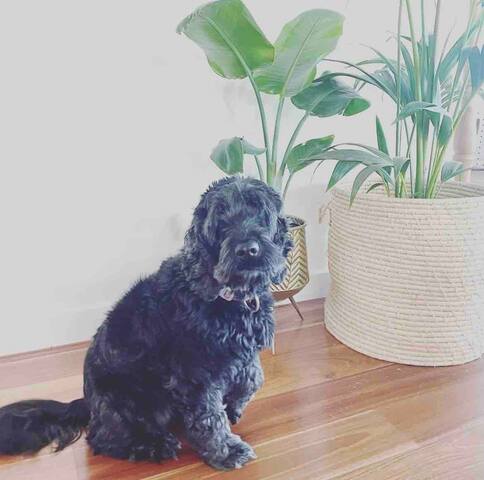 @Relax_Blairgowrie gallery image 3