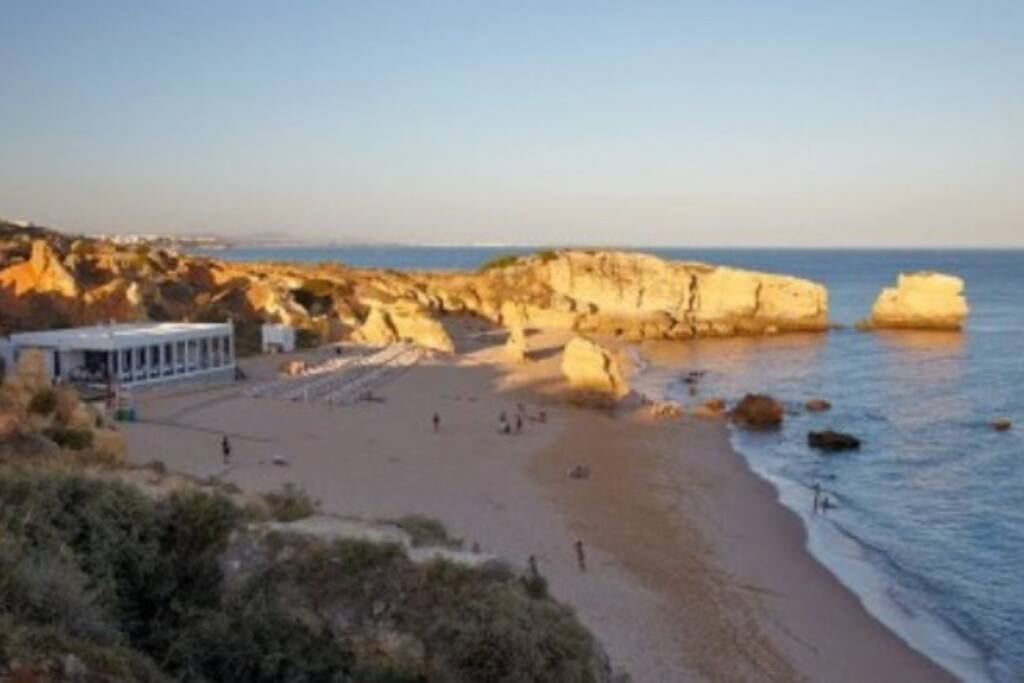 the beach with the restaurant