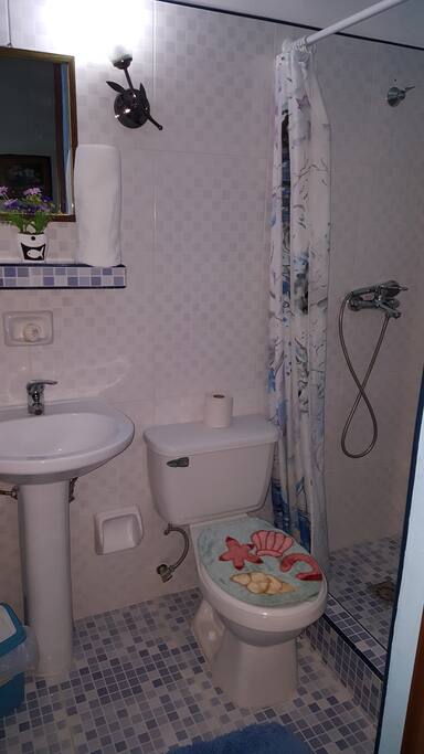Baño Hab 1 / Bathroom 1