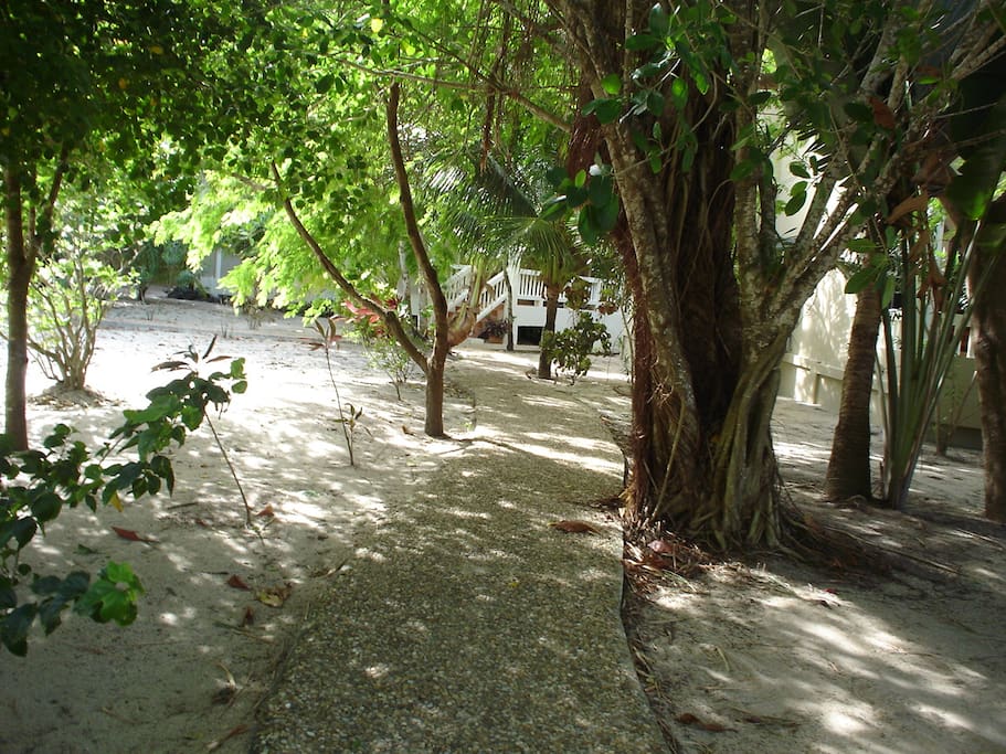 Path through the property