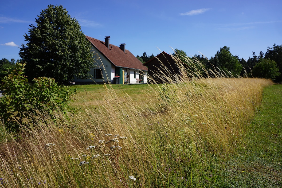 The exterior of a spacious home is highlighted against a clear blue sky. Surrounding grassy areas sway gently in the breeze, complemented by wildflowers. The architecture features a red-tiled roof, and nearby trees provide a natural setting, ensuring a sense of tranquility.