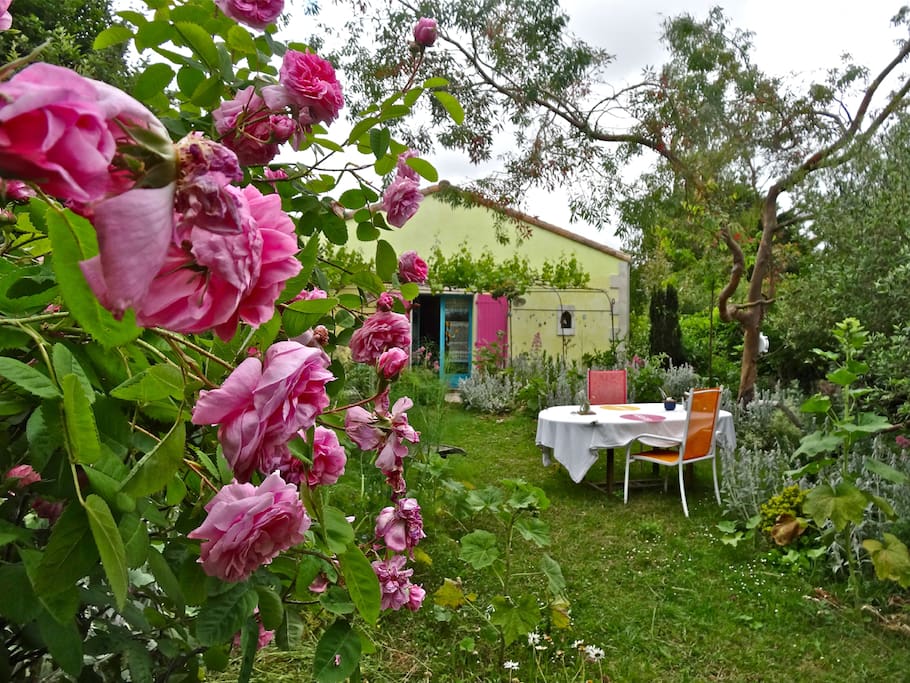 La vie en rose(s)