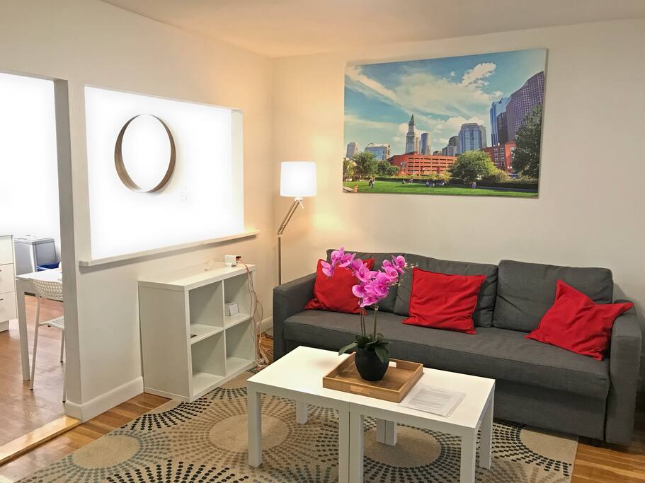Living room with sofa that converts into a full size bed. Stored within the bed are 400 count sateen bed sheets, luxury pillows, warm soft comforter. The room has a large 50" Roku Smart TV that allows you to stream many channels and sites including Hulu, Netflix, Amazon Video, and also has an HDTV antennae. All of the art in our units are photos that are taken by your host Mac (me) and are all of local Boston sites and views.