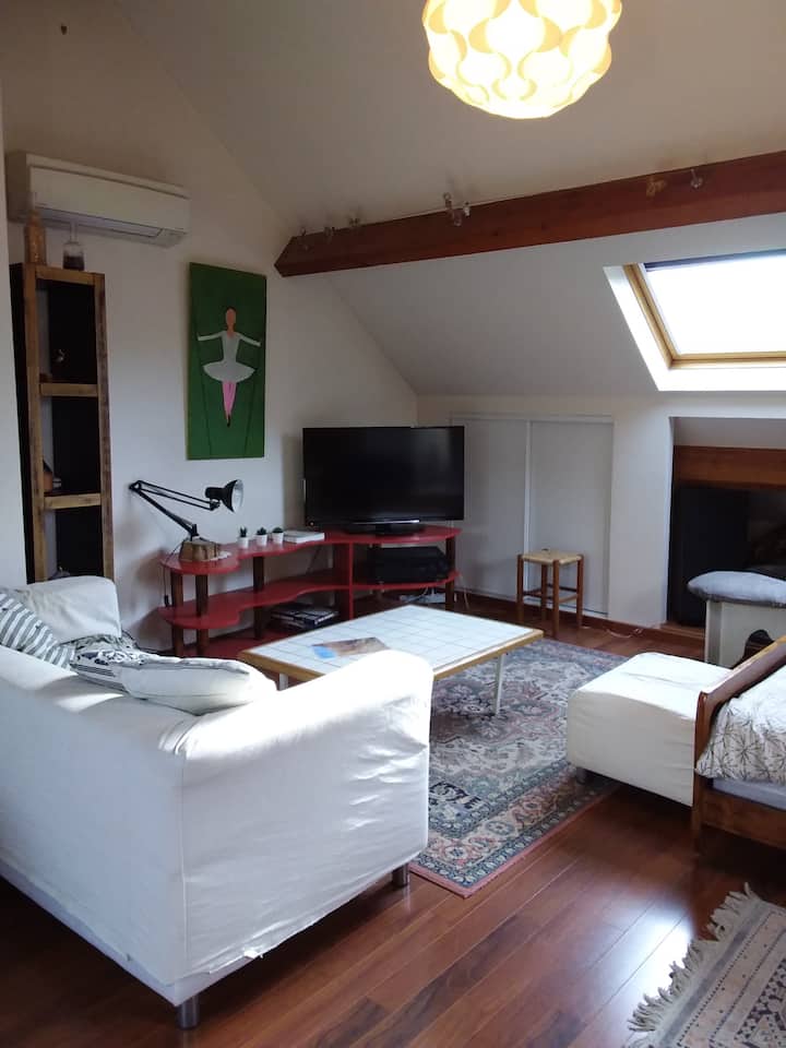 Gite Des 3 Chenes - Saint-Fargeau-Ponthierry