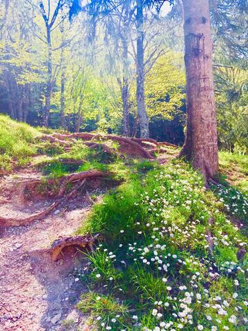 Dimora della contessa