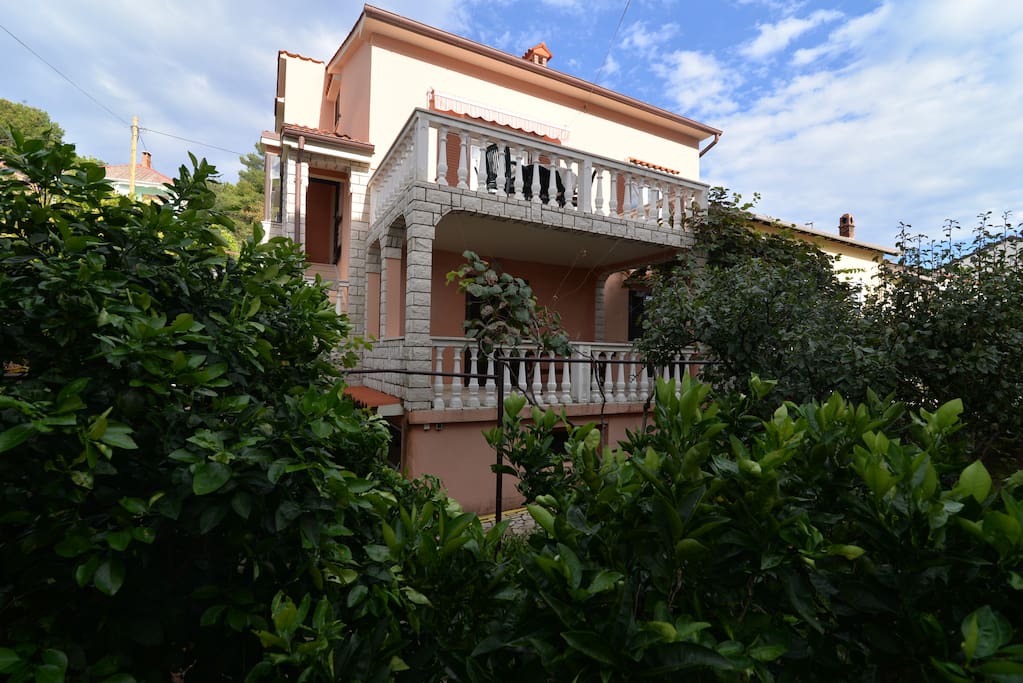 House with garden
