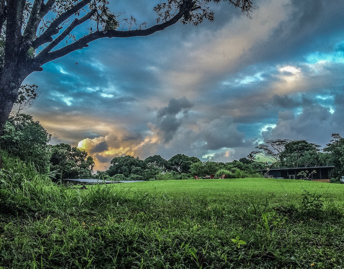 A serene landscape showcases lush greenery under a dramatic sky filled with varying shades of blue, gray, and hints of orange. The sprawling yard features well-maintained grass, framed by trees and dense foliage, creating a tranquil atmosphere.