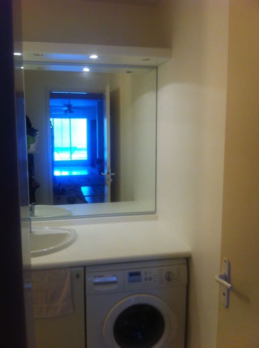 Salle d'eau : lavabo, placard de rangement, lave-linge Bosch