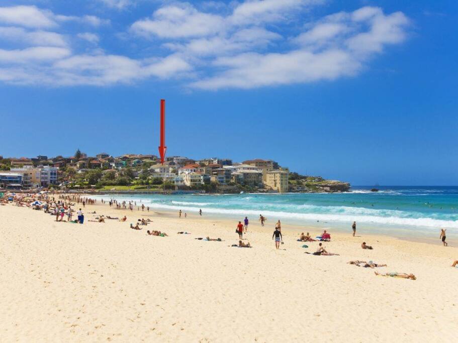 Location is right on the beach