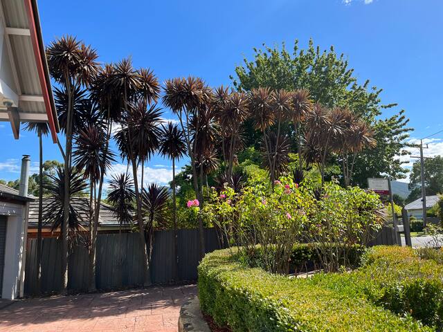 Serenity gallery image 4